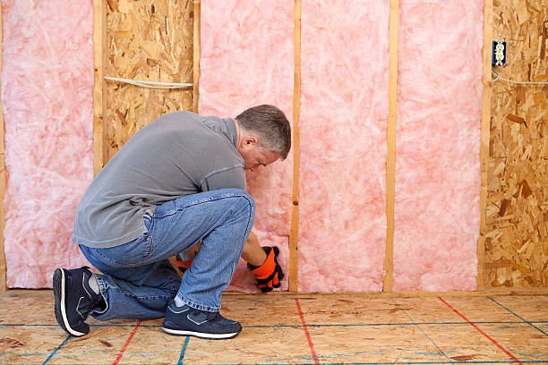 Best Insulation for Specific Applications in Guntersville, AL