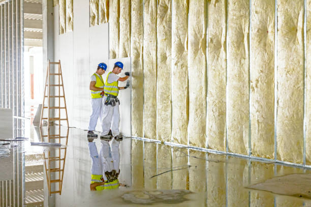 Best Types of Insulation in Guntersville, AL